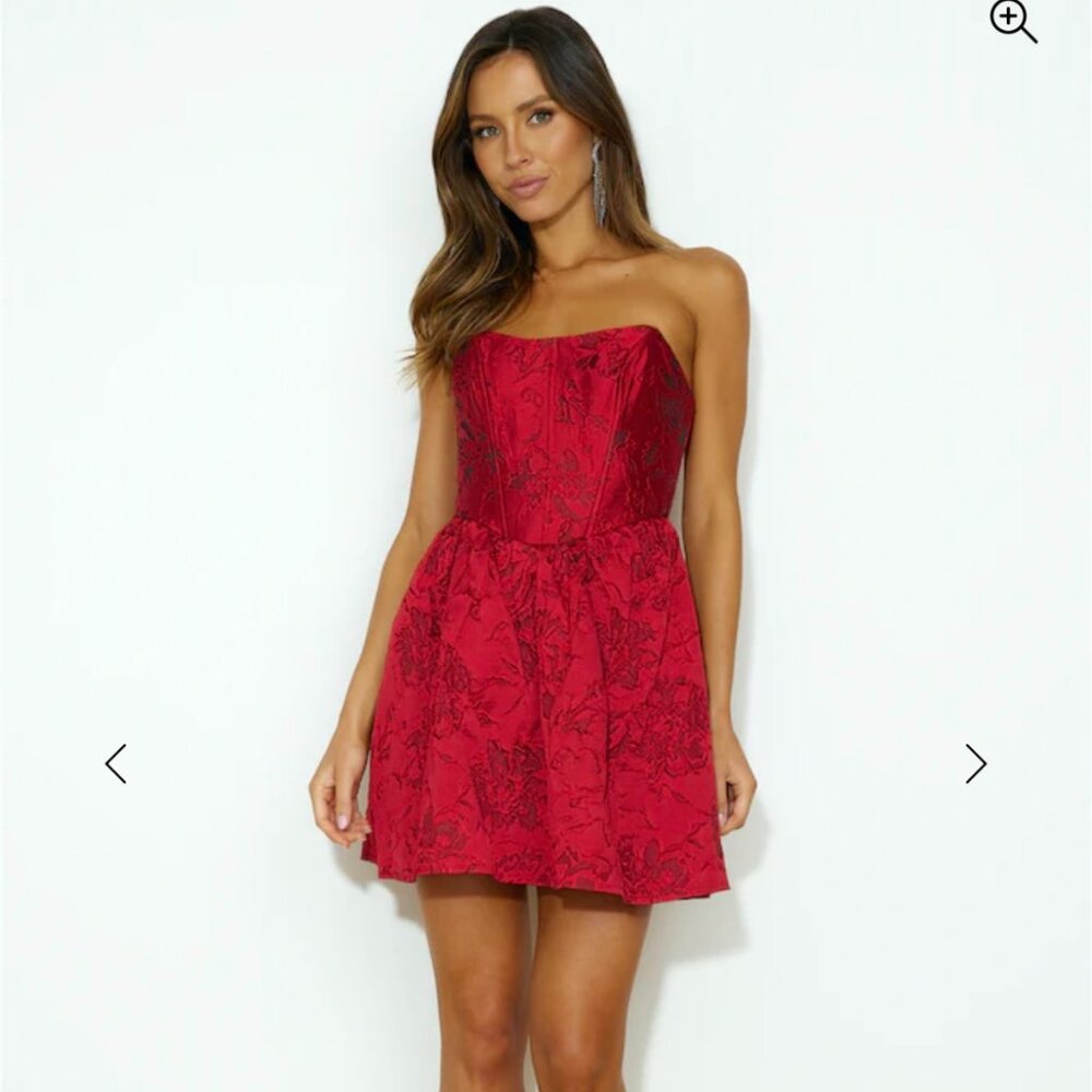 NWOT Revolve Corset Dress XS Embroidered